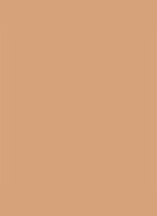 Dior Backstage Face & Body Foundation - 5N Neutral