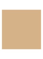 Dior Forever Natural Nude - foundation - 2WO Warm Olive