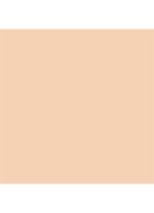 Dior Forever Skin Glow  -  0.5N