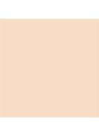 Dior Forever Skin Glow  -  0N