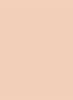 Dior Forever Skin Perfect - Foundation Stick - 1N Neutral