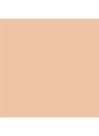 Dior Forever Skin Wear - vloeibare foundation -  2.5N