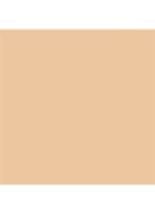 Dior Forever Skin Wear - vloeibare foundation - 2WO