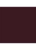 Dior Vernis - Limited Edition - 690 Plum Parade