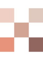 Diorshow 5 Couleurs - Limited Edition oogschaduwpalette - 563 Brown brocart