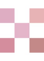 Diorshow 5 Couleurs - Limited Edition oogschaduwpalette - 855 Rose Moiré