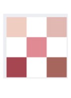 Diorshow 5 Couleurs - Oogschaduwpalette - 823 Rosa Mutabilis