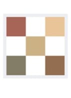 Diorshow 5 Couleurs - Oogschaduwpalette - 343 Khaki