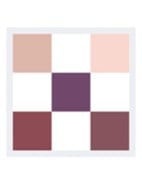 Diorshow 5 Couleurs - Oogschaduwpalette - 183 Plum Tutu