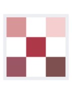 Diorshow 5 Couleurs - Oogschaduwpalette - 879 Rouge Trafalgar
