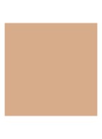 Dreamskin Moist & Perfect Cushion SPF 50 - PA+++ Refill - compact foundation navulling - 010