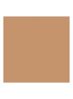 Dreamskin Moist & Perfect Cushion SPF 50 - PA+++ Refill - compact foundation navulling - 020