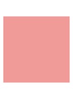 Rouge Blush - Langhoudende Blush - Holografisch - 601 Hologram