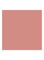 Rouge Blush - Langhoudende Blush - Mat - 100 Nude Look