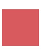 Rouge Blush - Langhoudende Blush - Satijn - 959 Charnelle