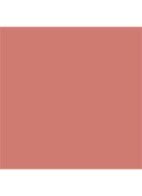 Rouge Dior On Stage - lipstick - 222 Confident Nude