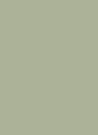 Premium Scrunchies van zijde - Nº 81 Lueur d'olive