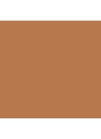 Bronze Goddess - bronzer - Light