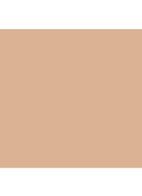 Double Wear Sheer Long-Wear Makeup SPF 20 - foundation - 1N1 Ivory Nude