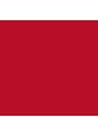 Rouge à Lèvres Satin - lipstick - 502 Eadie Scarlet