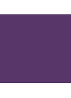 Stylo Contour des Yeux - waterproof eyeliner - 5 Amethyste