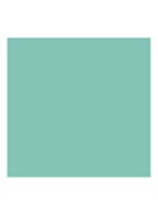 Vernis à Ongles - nagellak - 713 Dorothy Turquoise