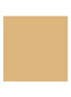 L'Essentiel Natural Glow SPF 20 Foundation - 01W Very Light Warm