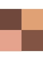 Ombres G - oogschaduw palette - Wild nudes