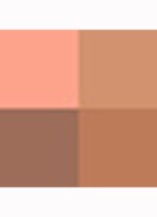 Terracotta Light bronzer - bronzer - 03 MOYEN DORÉ / MEDIUM WARM