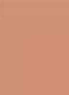 Terracotta Powder - bronzer - 02 MOYEN ROSÉ / MEDIUM COOL