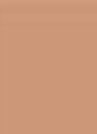 Terracotta Powder - bronzer - 03 MOYEN DORÉ / MEDIUM WARM