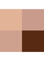 Curator Eyeshadow Palette - oogschaduw palette - Realist