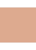 Vanish Airbrush Concealer - Silk