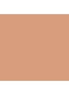 Vanish Airbrush Concealer - Apricot