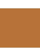 VANISH™ Airbrush concealer - Flax
