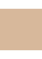 VANISH™ Seamless Finish Foundation Stick - 4.5 - Vanilla
