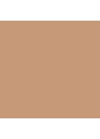 VANISH™ Seamless Finish Foundation Stick - 10 - Beige