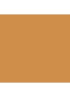 VANISH™ Seamless Finish Foundation Stick - Golden Tan