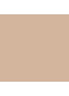 VANISH™ Seamless Finish Foundation Stick - 1.5 - Cream