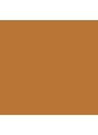 VANISH™ Seamless Finish Foundation Stick - 12 - Warm Honey