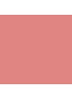 Balmy Gloss Tinted Lip Oil - lipolie - Only You