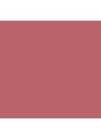Multi-stick & Illuminator - 2-in-1 blush & liptint - At Last (Dusty Rose)
