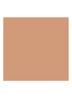 True Skin Serum Concealer - Bayberry TSSC05