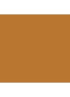 The Radiant SkinTint SPF30 - foundation - Medium Deep