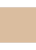 Teint Idôle Ultra Wear Stick Foundation - 01 Beige Alb