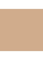Teint Idôle Ultra Wear Stick Foundation - 03 Beige Diaphane