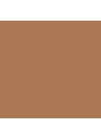 Teint Idôle Ultra Wear Stick Foundation - 06 Beige Cannelle