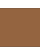 Teint Idôle Ultra Wear Stick Foundation - 10 Beige Praline