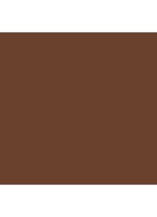 Teint Idôle Ultra Wear Stick Foundation - 14 Brownie