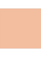 Face Illuminator - highlighter - Indescretion